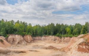 Picture of a blue sky, green wood and grubbed-up soil