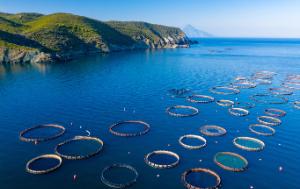 Aerial spectacular view at fishing farm